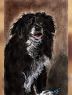 SOLD- Pet Remembrance Portrait of 